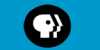 pbs.jpg (1156 bytes)
