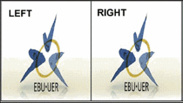 Side-by-Side 3D Format